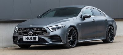 Mercedes cls c257 ültetőrugó